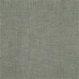 Trevisina Teal