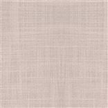Fontana - Pale Rose Cutting