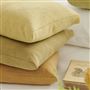 Tortona Ochre